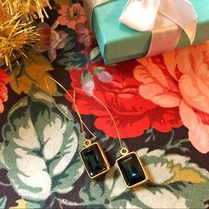 Diana Warner Earrings